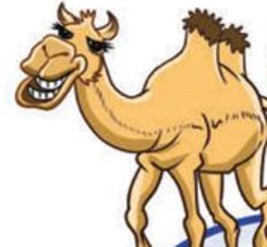 Seekor unta berwarna kuning dengan dua bonggol