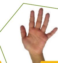 Sebelah tangan