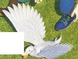 A white duck flying over the grass