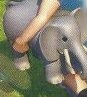 A boy holding a grey toy elephant