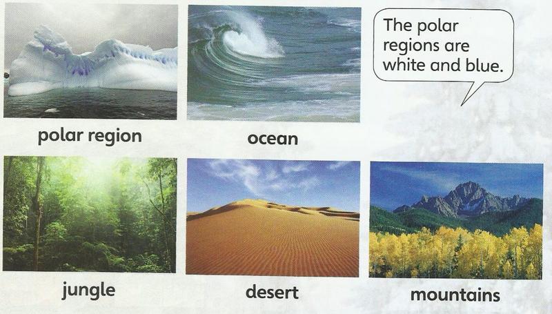 Five habitats: polar region, ocean, jungle, desert, mountains