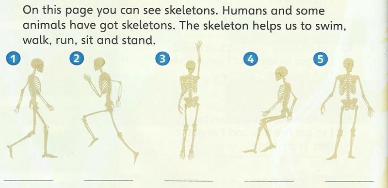 Five skeletons: walking, running, reaching up, sitting and standing