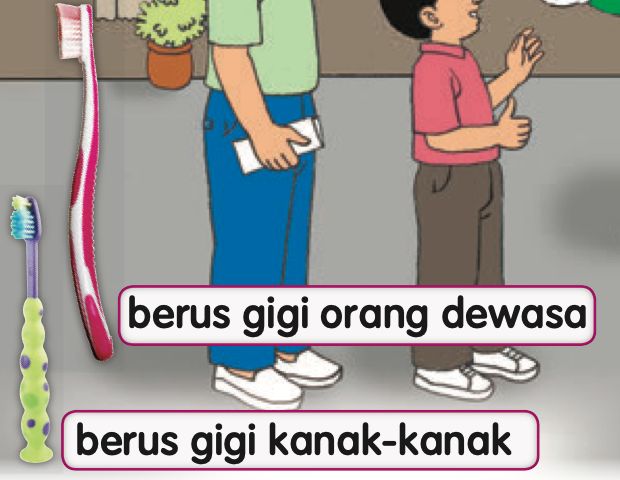 Berus gigi orang dewasa yang besar dan berus gigi kanak-kanak yang kecil