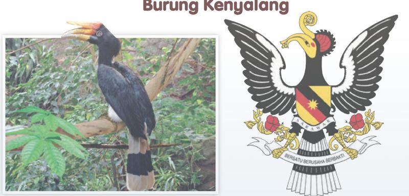 Gambar burung kenyalang dan lambang negeri Sarawak
