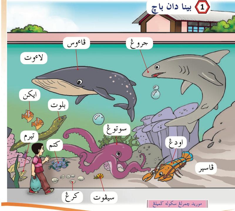 Akuarium sekolah dengan paus, jerung, ikan, belut, tiram, ketam, sotong, udang, kerang, siput dan pasir, setiap satu berlabel perkataan Jawi