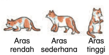 Tiga gambar kucing: aras rendah, aras sederhana dan aras tinggi