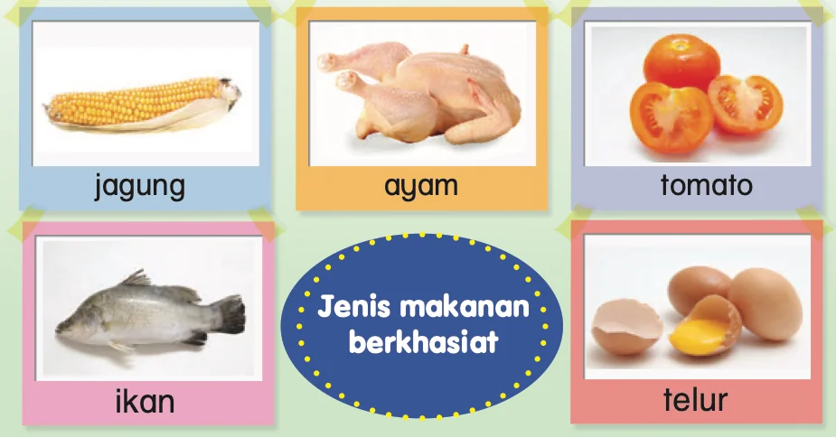 Lima gambar makanan berkhasiat: jagung, ayam, tomato, ikan dan telur