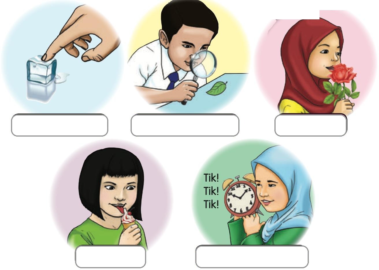 Lima gambar murid menggunakan deria: menyentuh ais, melihat daun dengan kanta pembesar, menghidu bunga ros, menjilat aiskrim dan mendengar jam