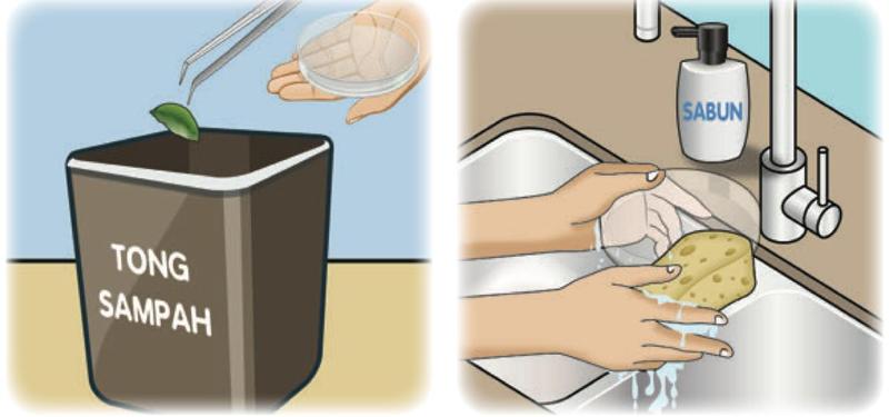 Daun dibuang ke dalam tong sampah dan bekas kaca dibasuh dengan sabun di singki