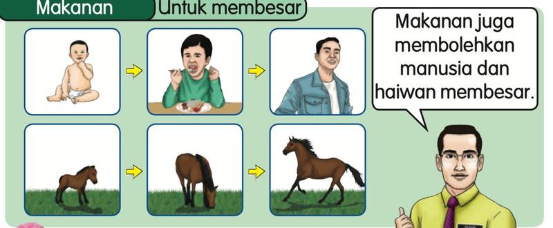 Bayi menjadi budak, lalu dewasa; anak kuda menjadi kuda