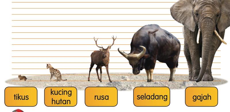 Haiwan disusun daripada kecil kepada besar: tikus, kucing hutan, rusa, seladang, gajah