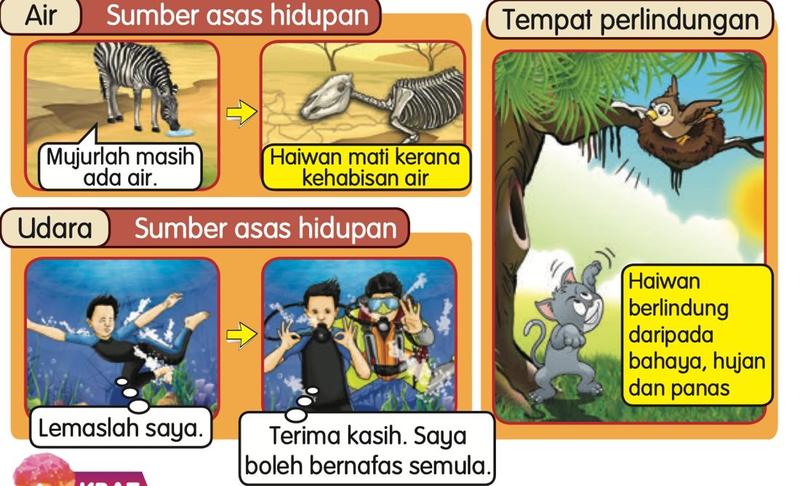 Haiwan mati kerana kehabisan air, penyelam memerlukan udara, haiwan berlindung daripada bahaya