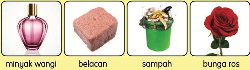 Minyak wangi, belacan, sampah dan bunga ros