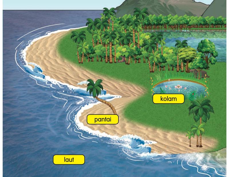 Pantai berpasir di tepi laut, dengan sebuah kolam kecil di darat dan pokok di belakang; ditunjukkan dengan label pantai, kolam dan laut