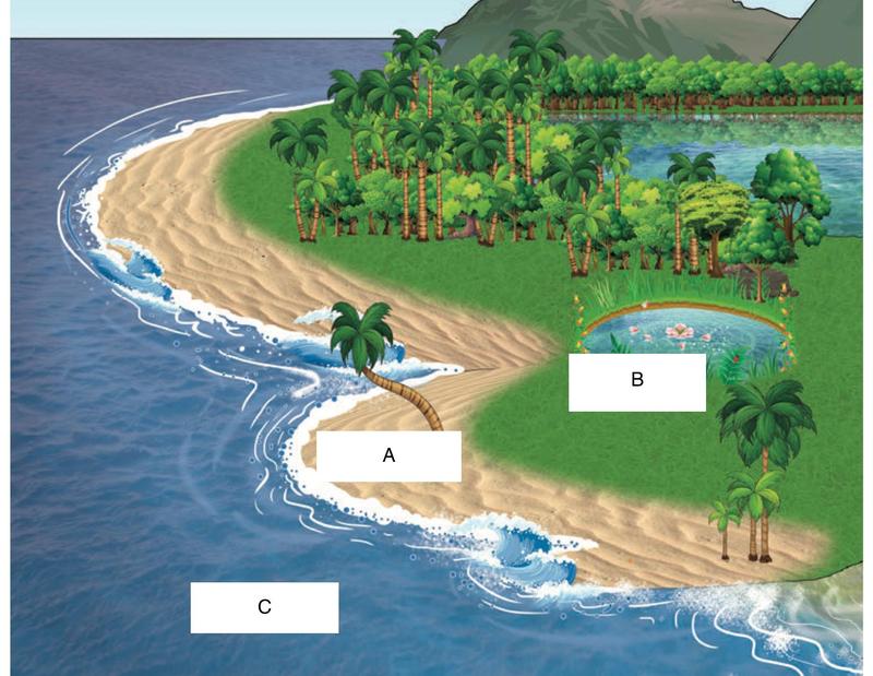 Pantai dengan laut dan kolam; tiga bentuk muka bumi ditanda A, B dan C