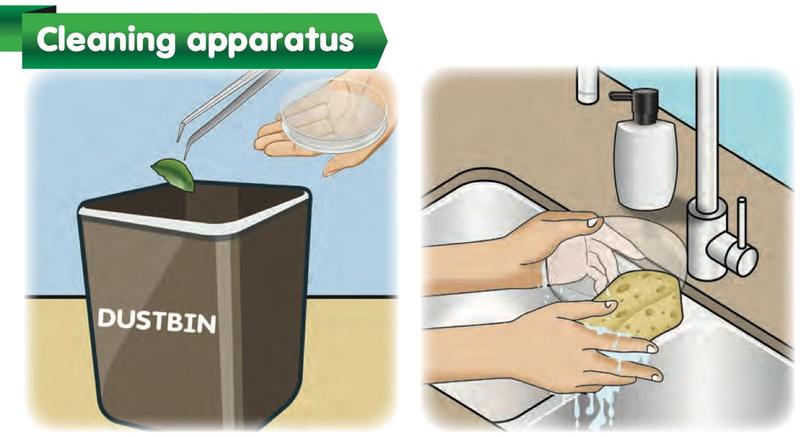 A leaf is put in the dustbin and a glass dish is washed in a sink