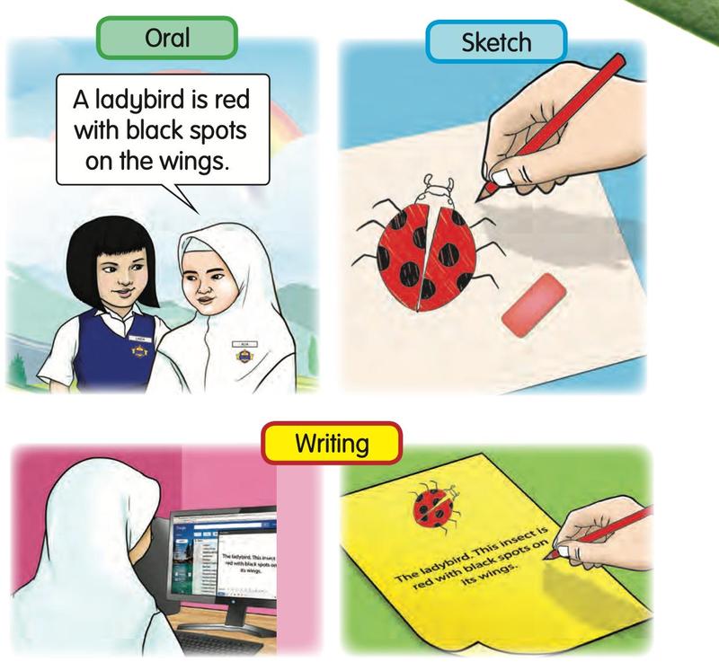 Alia tells her friend about a ladybird by speaking, by drawing a sketch and by writing