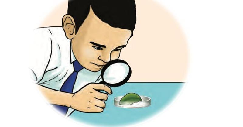 A boy uses a magnifying glass to look at a small leaf