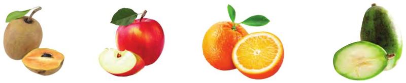 A sapodilla, an apple, an orange and an ambarella