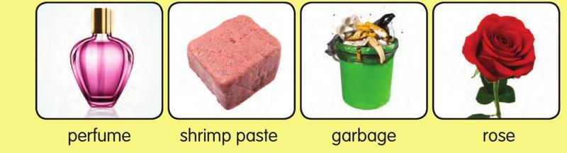A bottle of perfume, a block of shrimp paste, a bin of garbage and a rose