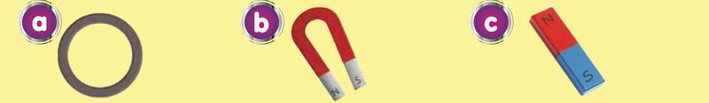 Magnet a is a ring, magnet b is a horseshoe and magnet c is a bar