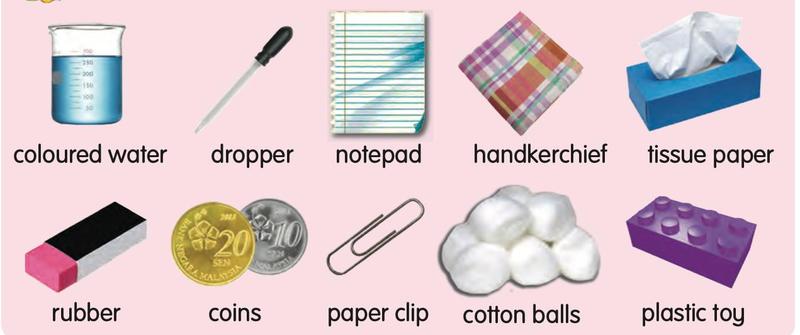 Coloured water, a dropper, notepad, handkerchief, tissue paper, rubber, coins, paper clip, cotton balls and a plastic toy