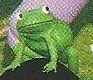 A green frog