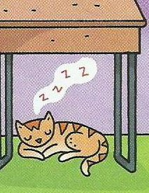An orange cat sleeping on the grass below a desk
