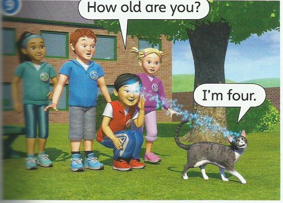 The friends ask the cat how old it is; the cat says I'm four