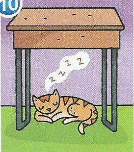 An orange cat sleeping under a desk