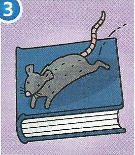 A grey rat on top of a blue book