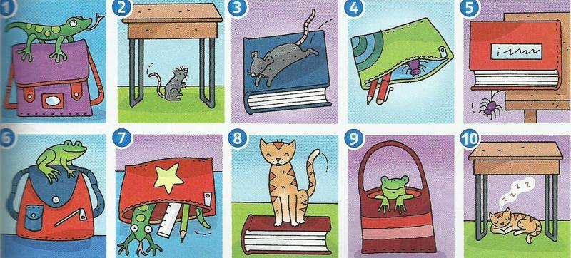 Ten small pictures of animals: a lizard on a bag, a rat under a desk, a rat on a book, a spider in a pencil case, a spider under a book, a frog on a bag, a frog under a pencil case, a cat on a book, a frog in a bag, a cat under a desk