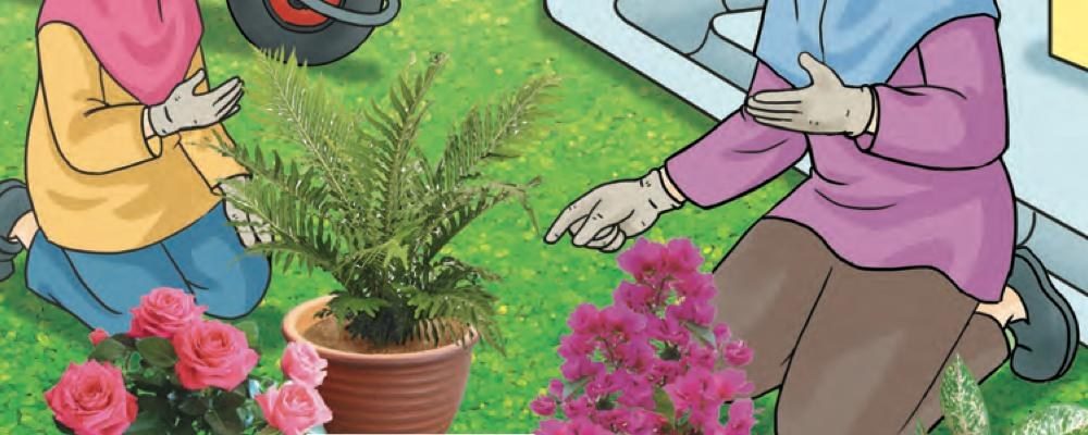 Pokok hiasan dan bunga ros dalam pasu yang disusun oleh ibu dan Elis