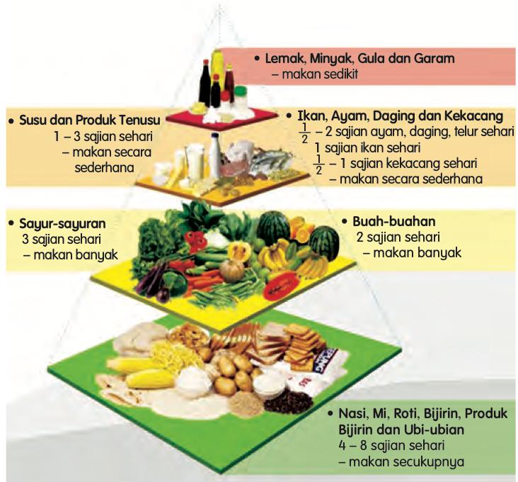 Piramid Makanan Malaysia dengan empat peringkat makanan
