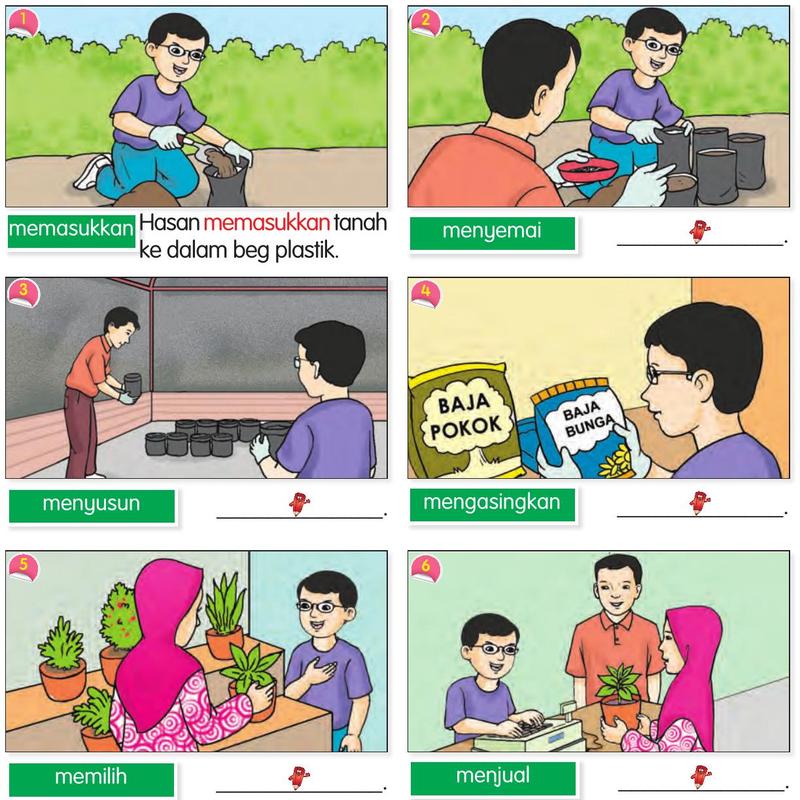 Enam gambar Hasan di tapak semaian: memasukkan tanah, menyemai, menyusun, mengasingkan baja, memilih dan menjual pokok