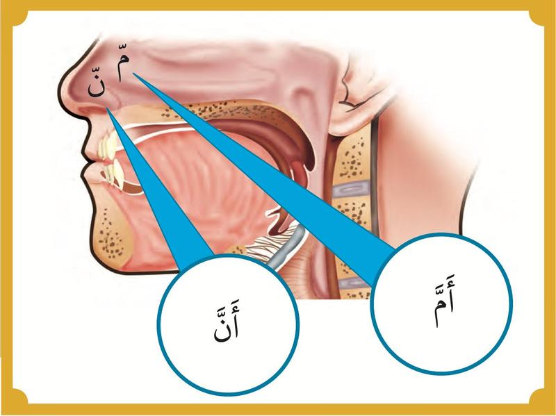 Lukisan hidung dan mulut. Bunyi dengung keluar dari pangkal hidung untuk kalimah dengan nun dan mim bertasydid.