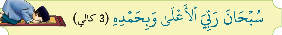 Tasbih sujud