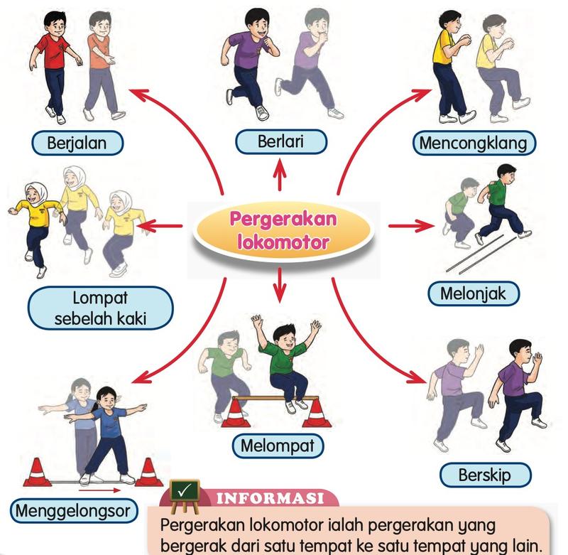 Lapan pergerakan lokomotor: berjalan, berlari, mencongklang, lompat sebelah kaki, melonjak, melompat, berskip dan menggelongsor
