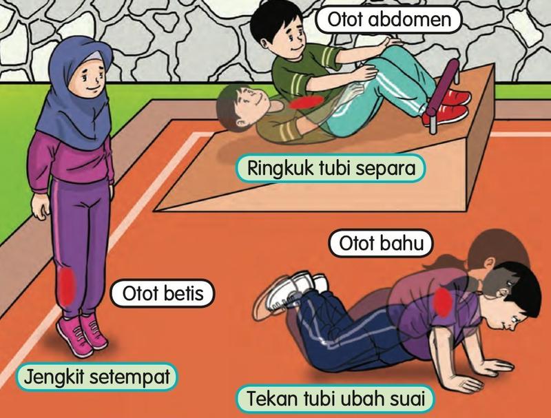 Murid melakukan ringkuk tubi separa, jengkit setempat dan tekan tubi ubah suai