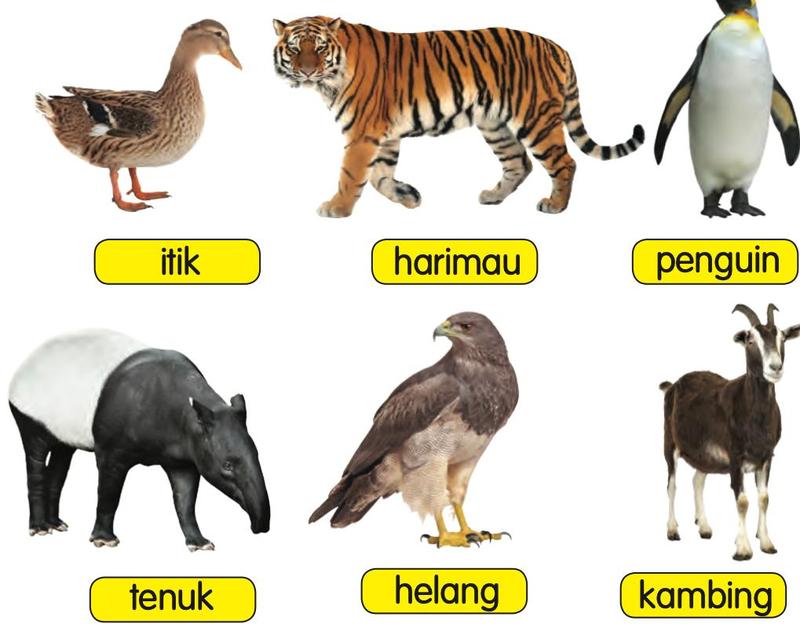 Itik, harimau, penguin, tenuk, helang dan kambing