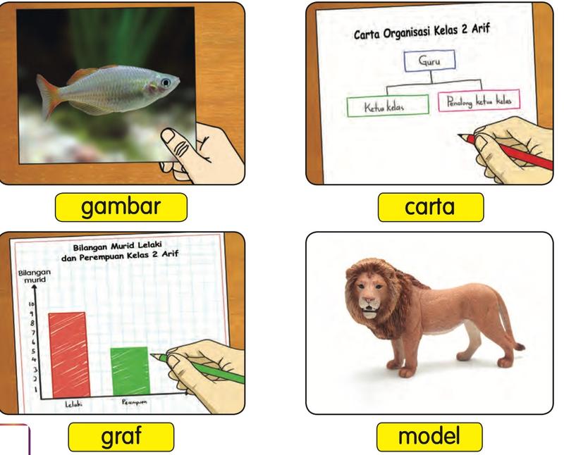 Gambar ikan, carta organisasi kelas, graf bilangan murid lelaki dan perempuan, dan model singa