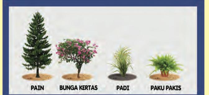 Gambar pain, bunga kertas, padi dan paku pakis