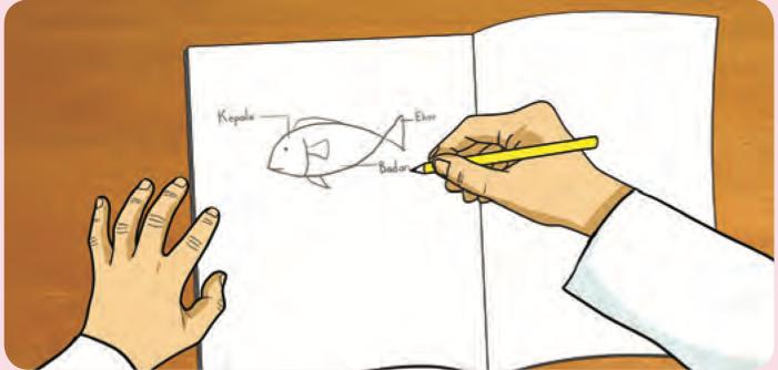 Seorang murid melukis seekor ikan di dalam buku dan menulis nama bahagiannya