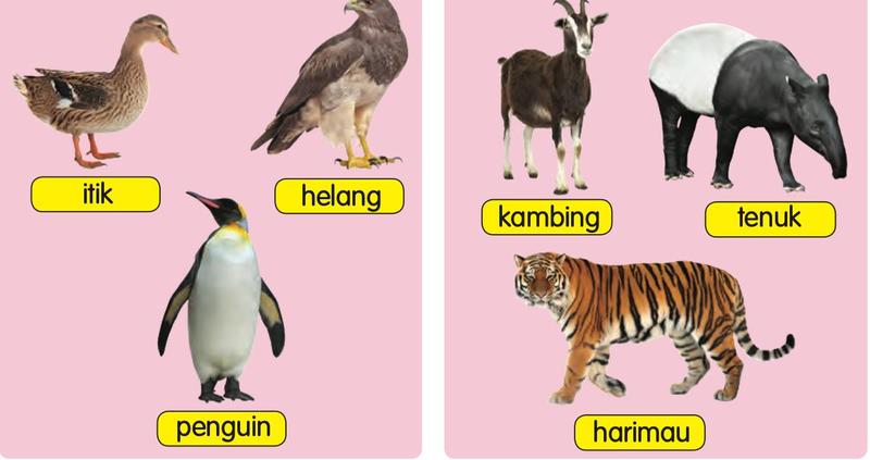 Dua kumpulan haiwan: itik, helang dan penguin dalam satu kumpulan; kambing, tenuk dan harimau dalam kumpulan lain