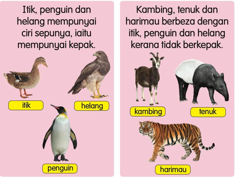 Itik, helang dan penguin dalam satu kumpulan; kambing, tenuk dan harimau dalam kumpulan lain