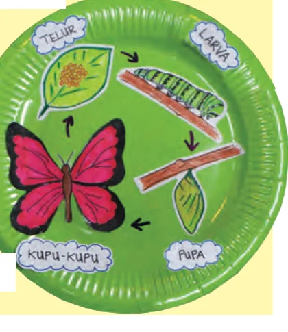 Carta pinggan kertas kitar hidup kupu-kupu: telur, larva, pupa, kupu-kupu