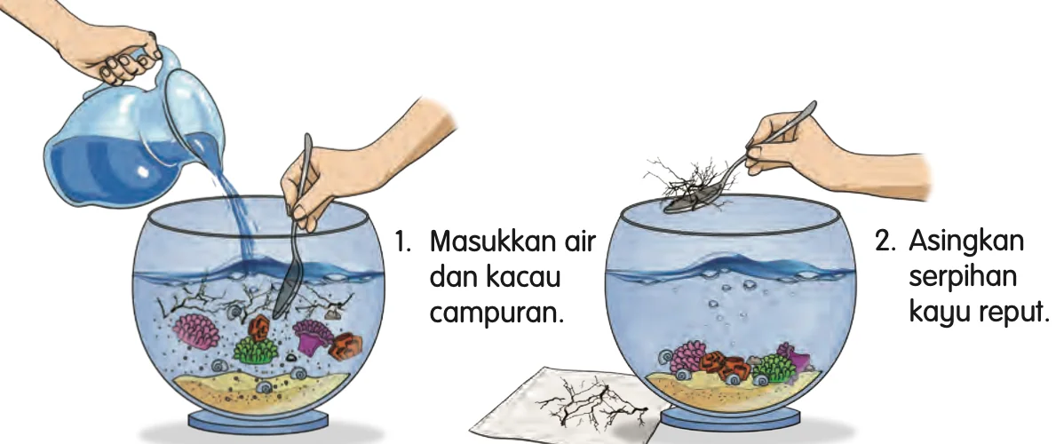 Dua langkah: air dituang ke dalam akuarium dan dikacau, kemudian serpihan kayu yang terapung diambil keluar