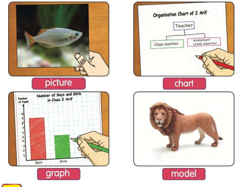 A picture of a fish, an organisation chart, a bar graph and a model of a lion