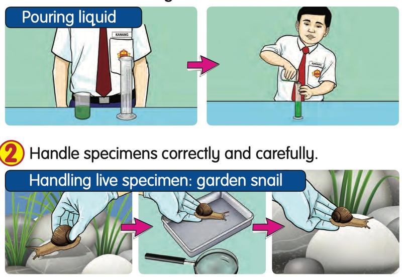 A boy pours green liquid into a measuring cylinder; a gloved hand holds a garden snail, puts it in a tray and releases it