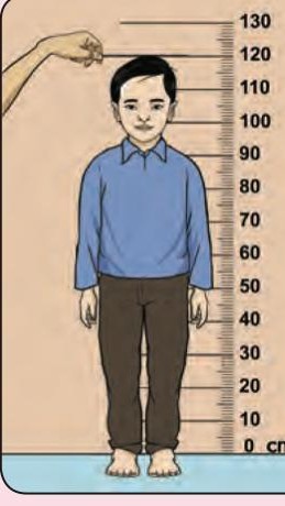A boy standing next to a height chart; the top of his head is at the 120 mark